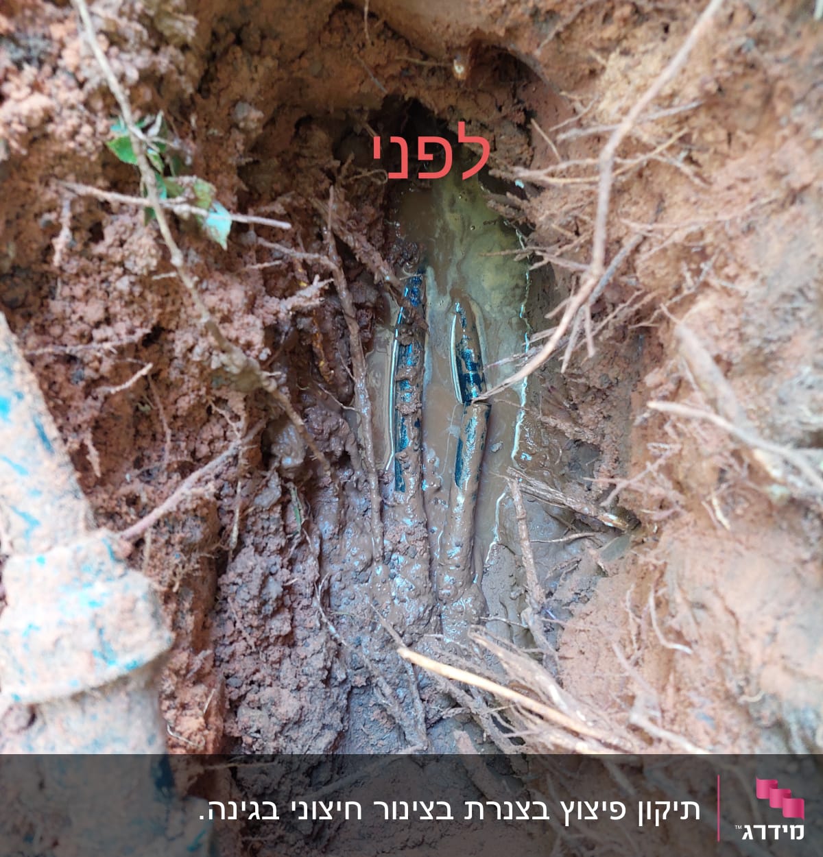 צינור מים שבור באדמה עם בוץ ושרשים